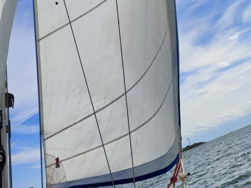 Curs de permis barcă cu motor Enjoy Sailing