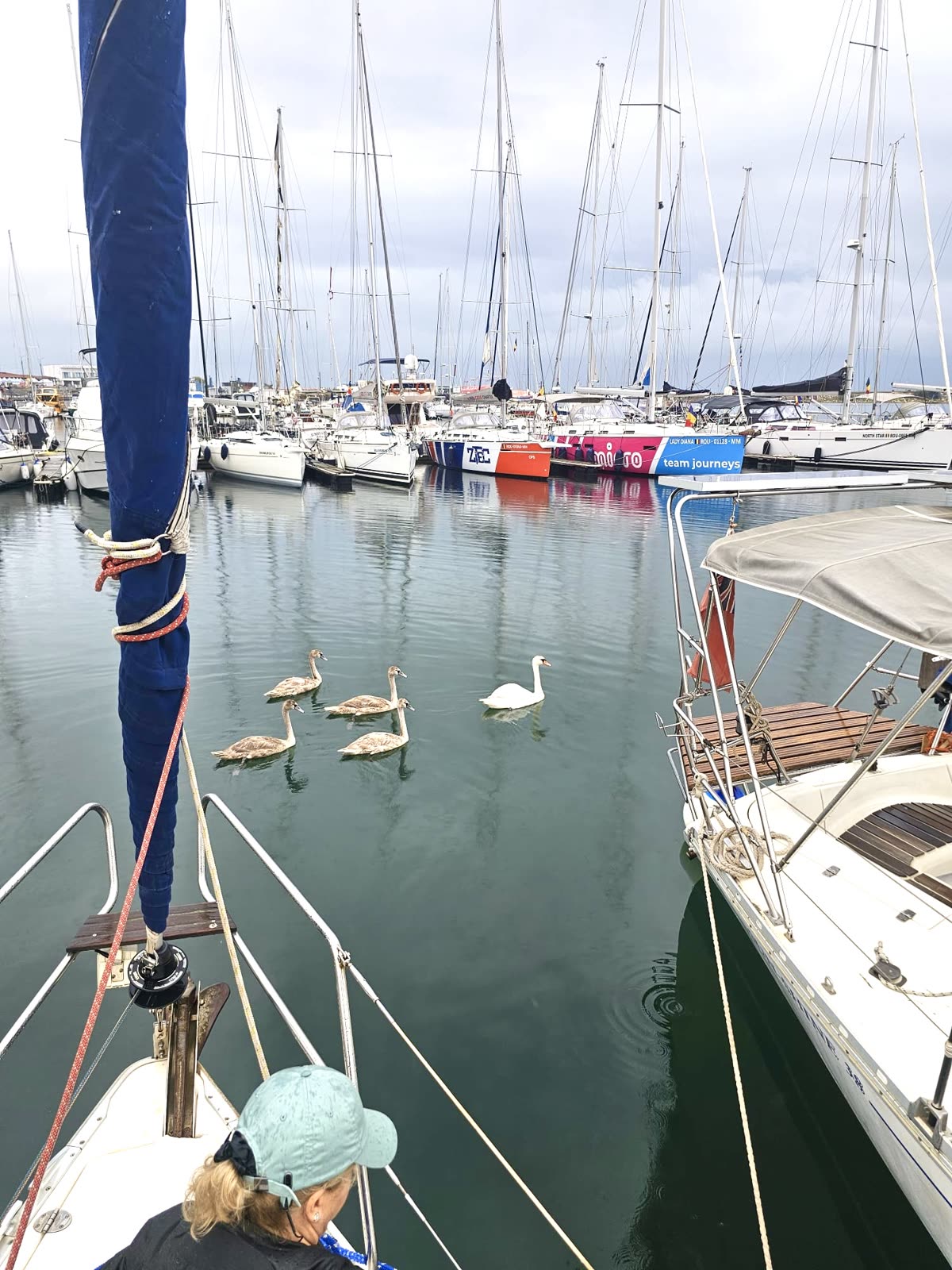 Moment privat la bordul velierului, ieșire pe apă cu Enjoy Sailing